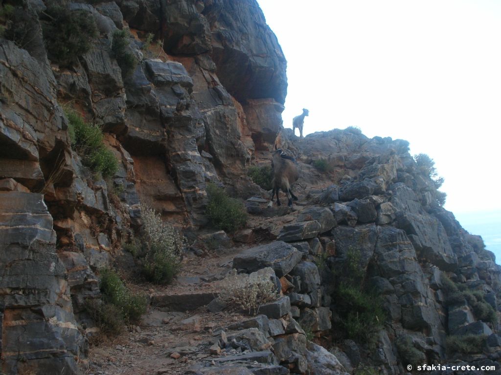 Photo report of a stay around Loutro, Sfakia, Crete in July 2009